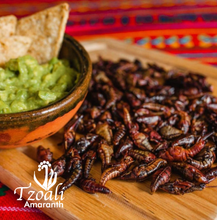 Load image into Gallery viewer, Chapulines - Grasshoppers gouret edible insects from Oax
