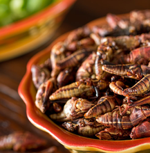 Load image into Gallery viewer, Chapulines - Grasshoppers gouret edible insects from Oax
